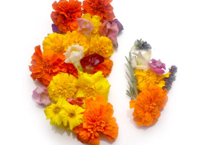 Assorted Edible Flowers