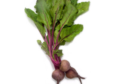 Baby Beet