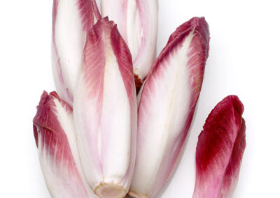 Belgium Endive Red