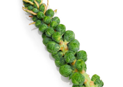 Brussel Sprouts