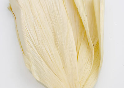 Corn Husks