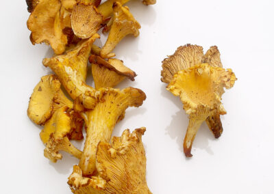 Chanterelles