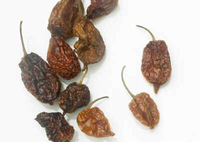 Chile Habanero