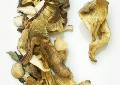 Dried Mushrooms