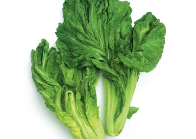 Gai Choi