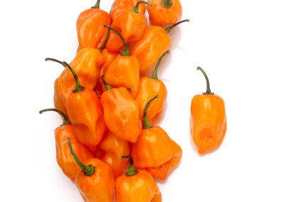 Habanero