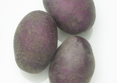 Purple Potato