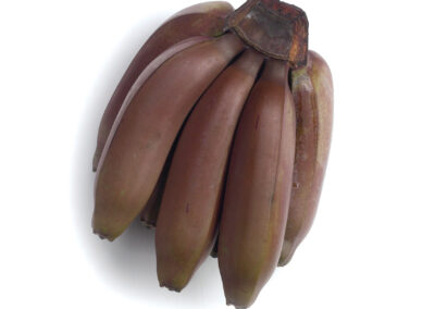 Red Bananas