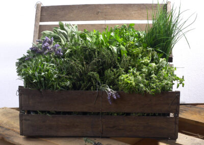 Mixed Herbs