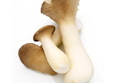 Royal Trumpet Mushrooms