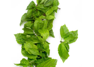 Thai Basil