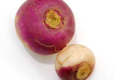 Turnip Root