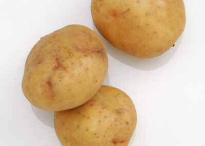 Yukon Gold Potatoes