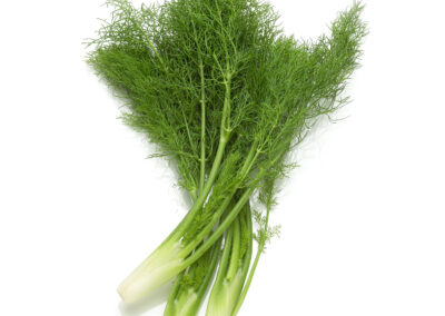 Baby Fennel