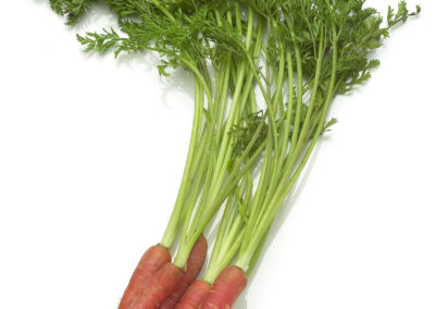 Baby Red Carrots