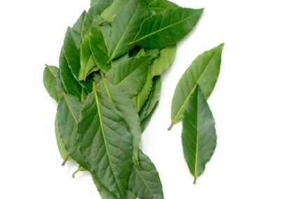 Bay Leaf