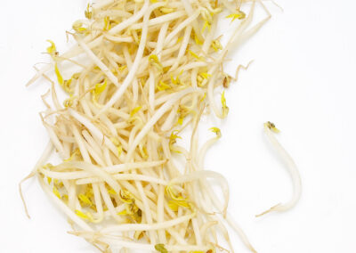 Bean Sprouts