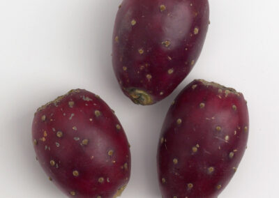 Cactus Pears