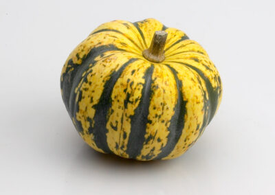 Carnival Squash