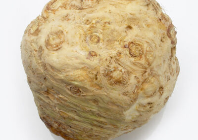 Celery Root