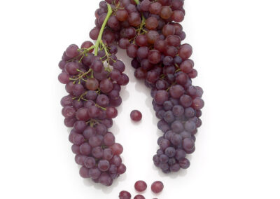 Champagne Grapes