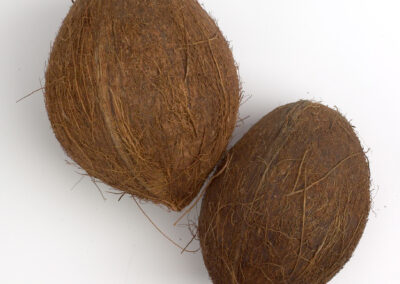 Coconuts