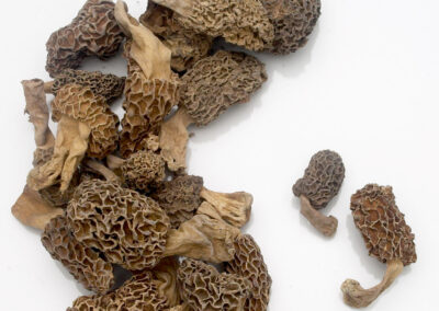 Dried Morels