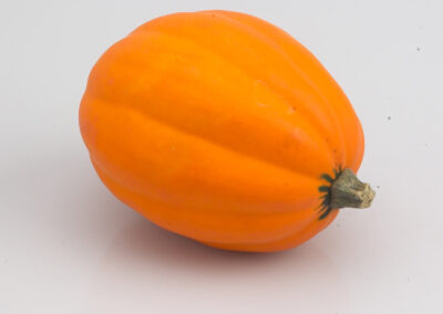 Golden Acorn Squash