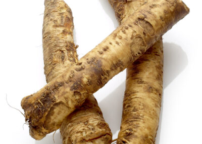 Horseradish