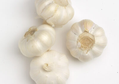 Jumbo Garlic