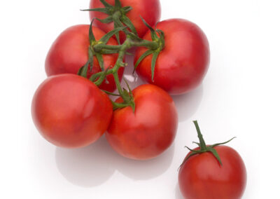 Large Vine Tomatoes