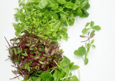 Micro-Greens