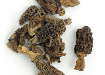 Dried Morel Mushrooms