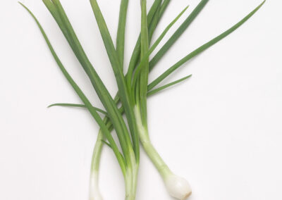 Green Onion