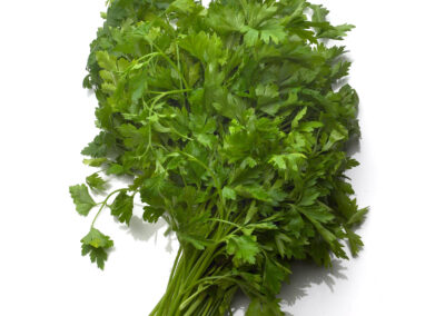 Parsley