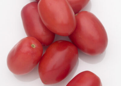 Plum Tomatoes