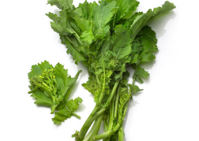 Rapini