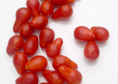 Red Tear Drop Tomatoes