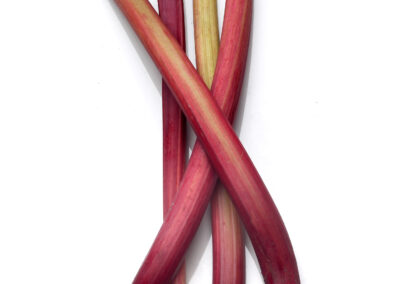 Rhubarb