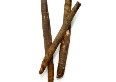 Salsify