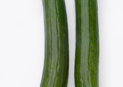 Seedless Cucumbers