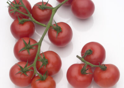 Small Vine Tomatoes