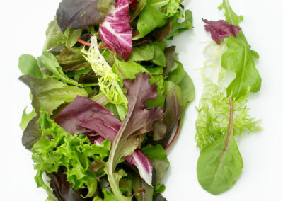 Mixed Spring Lettuce