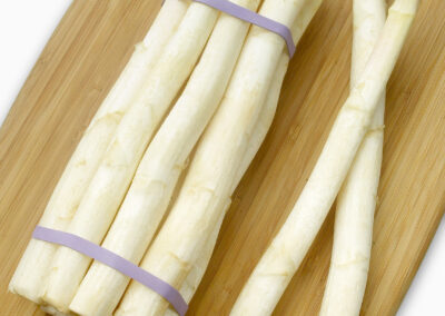 White Asparagus