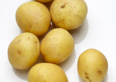 Yellow Fin Potatoes