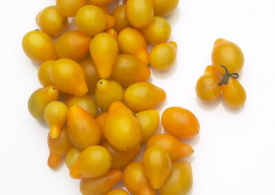 Yellow Pear Cherry Tomatoes